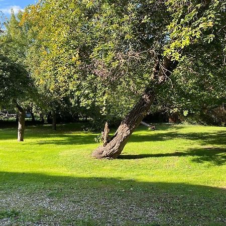 Appartement En Campagne Berville-sur-Mer Esterno foto