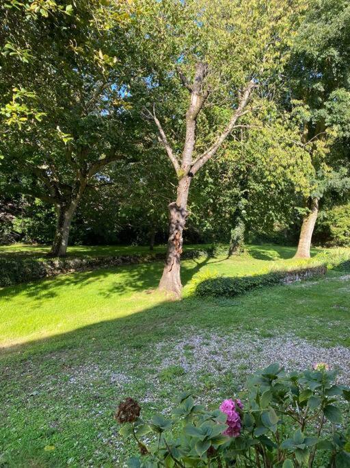 Appartement En Campagne Berville-sur-Mer Esterno foto