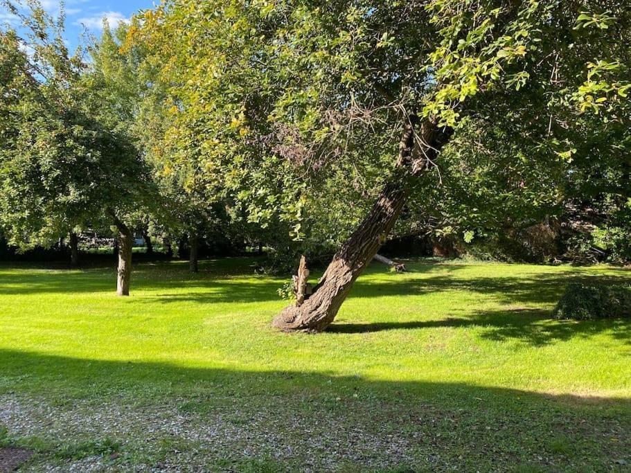 Appartement En Campagne Berville-sur-Mer Esterno foto